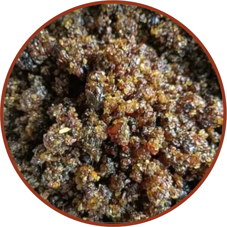 गुग्गल धूप